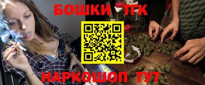 индика Будённовск