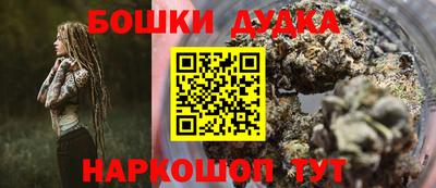 индика Будённовск