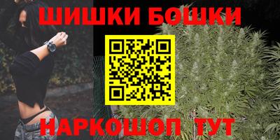 индика Будённовск