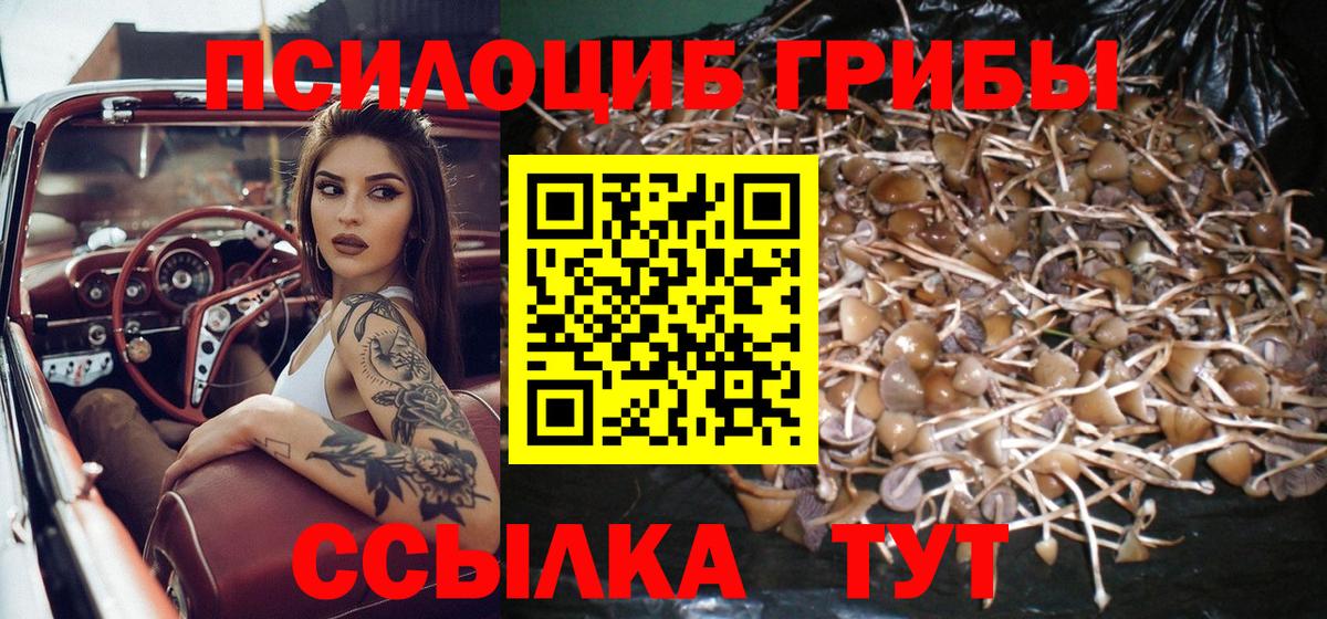 Псилоцибиновые грибы GOLDEN TEACHER  Вход с VPN  Учалы 